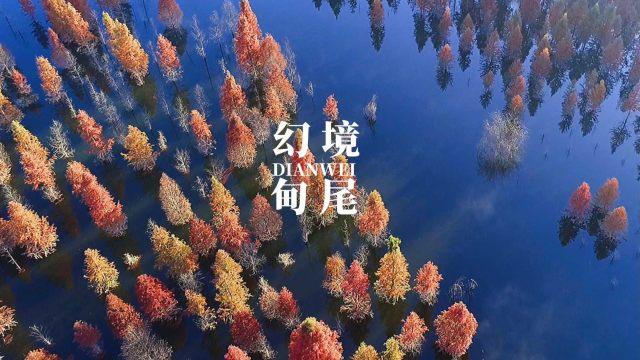 郴州:打造内陆地区会展高地彰显“郴州新担当”