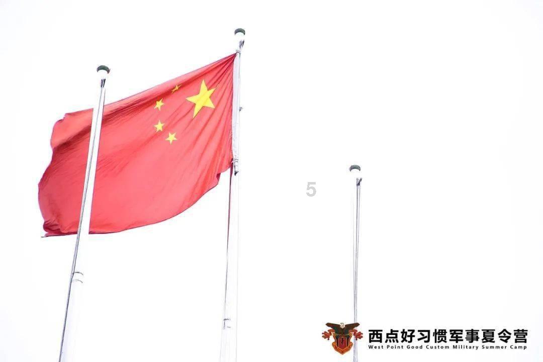 引球进框选关版