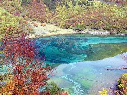 一波三折“三杀”福建！青岛男篮主场逆转战胜对手取得主场八连胜